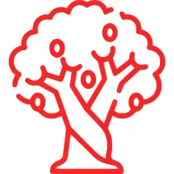 Green Living & Pure Spaces